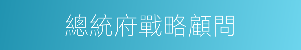 總統府戰略顧問的同義詞