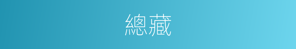 總藏的同義詞