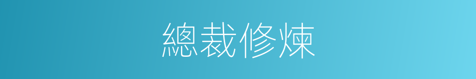 總裁修煉的同義詞