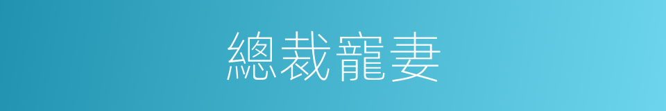 總裁寵妻的同義詞