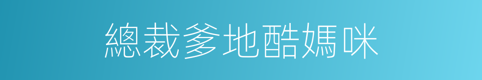 總裁爹地酷媽咪的同義詞