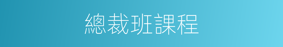 總裁班課程的同義詞