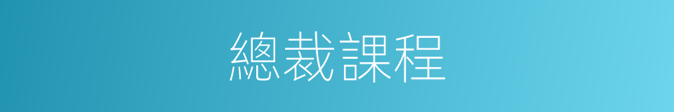 總裁課程的同義詞