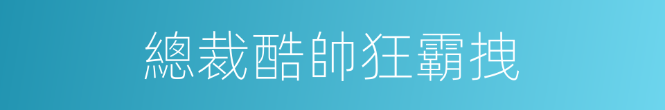 總裁酷帥狂霸拽的同義詞