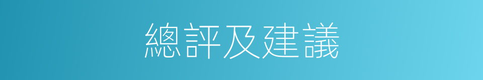 總評及建議的同義詞