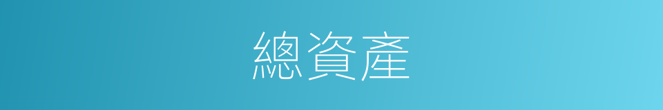 總資產的意思