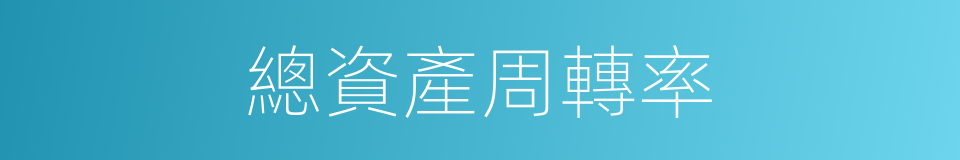 總資產周轉率的同義詞