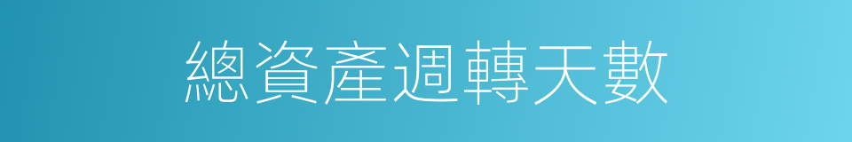 總資產週轉天數的同義詞