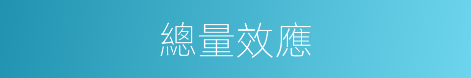 總量效應的同義詞