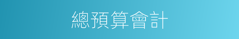 總預算會計的同義詞