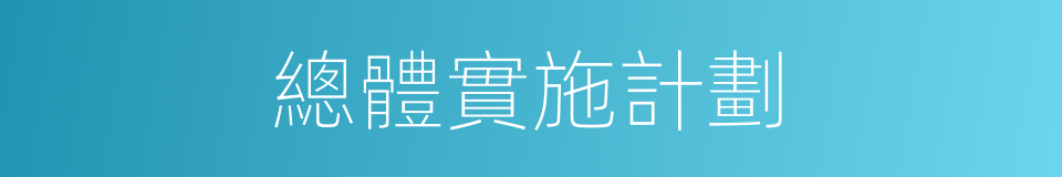 總體實施計劃的同義詞