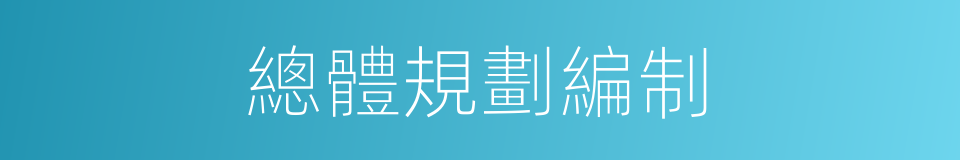 總體規劃編制的同義詞