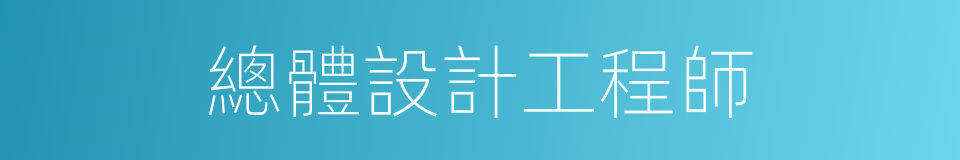 總體設計工程師的同義詞