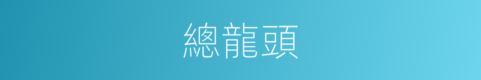 總龍頭的同義詞