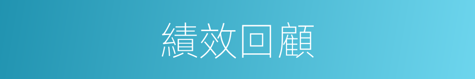 績效回顧的同義詞