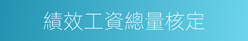 績效工資總量核定的同義詞