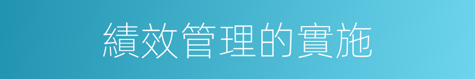 績效管理的實施的同義詞