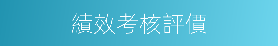 績效考核評價的同義詞