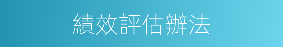 績效評估辦法的同義詞