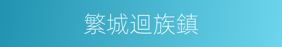 繁城迴族鎮的同義詞