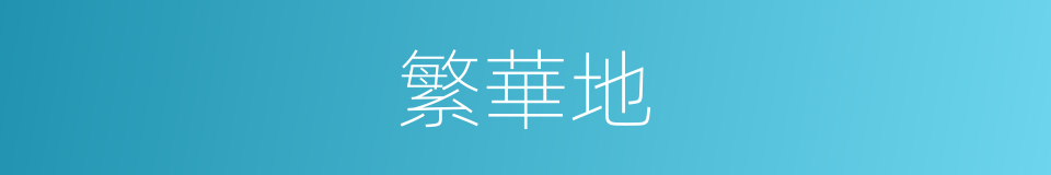 繁華地的同義詞