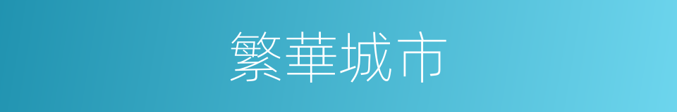 繁華城市的同義詞