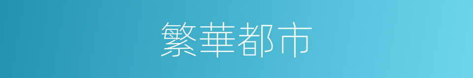 繁華都市的同義詞