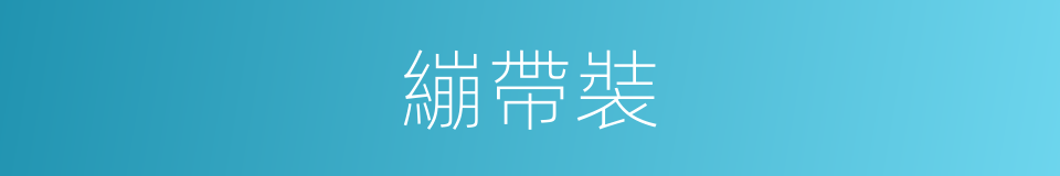 繃帶裝的同義詞