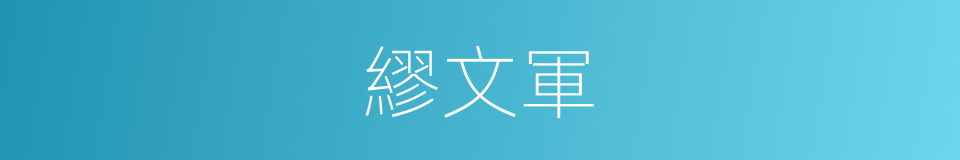 繆文軍的同義詞