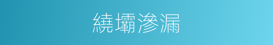 繞壩滲漏的同義詞