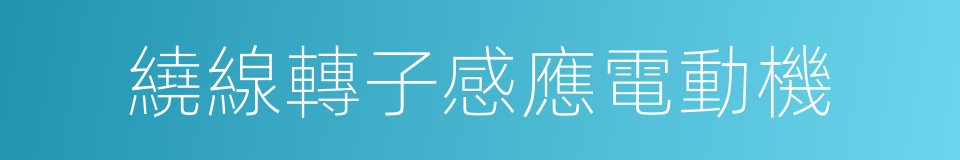 繞線轉子感應電動機的意思