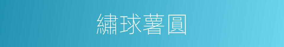 繡球薯圓的同義詞