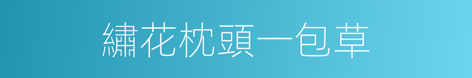 繡花枕頭一包草的同義詞