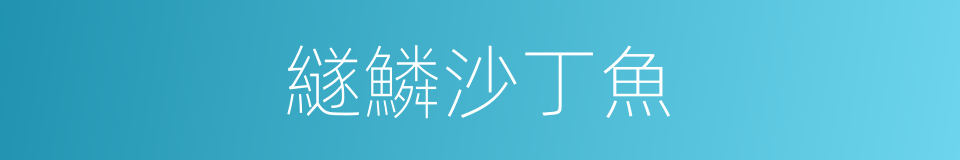 繸鱗沙丁魚的同義詞