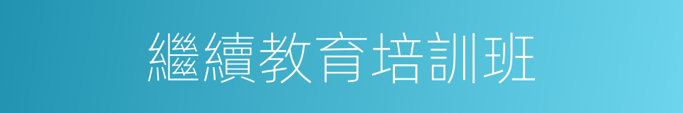 繼續教育培訓班的同義詞
