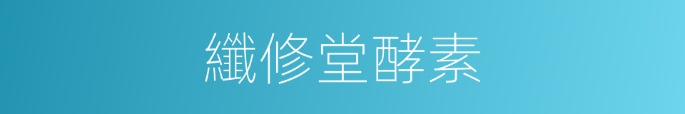 纖修堂酵素的同義詞