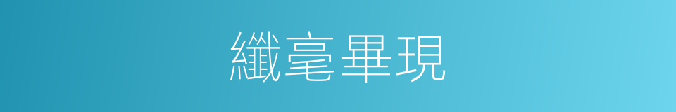 纖毫畢現的意思