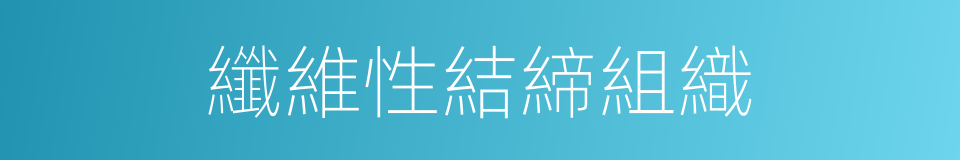 纖維性結締組織的同義詞