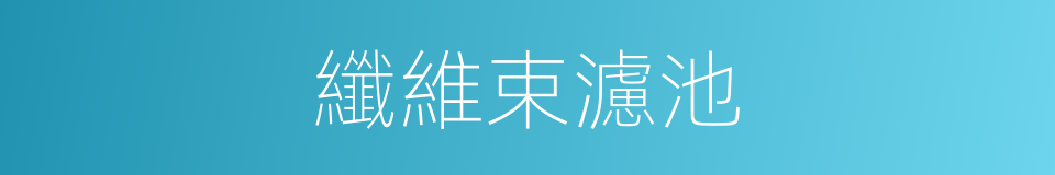 纖維束濾池的同義詞