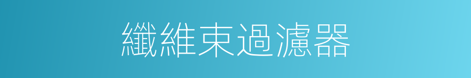 纖維束過濾器的同義詞
