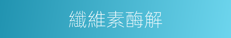 纖維素酶解的同義詞