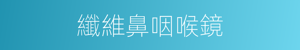 纖維鼻咽喉鏡的同義詞
