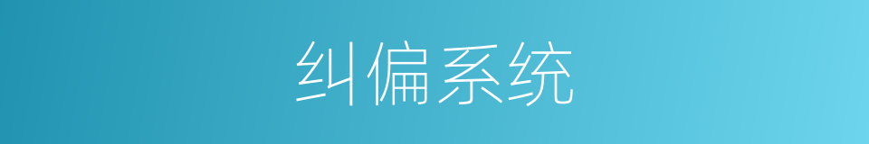 纠偏系统的同义词