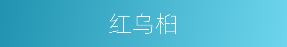 红乌桕的同义词
