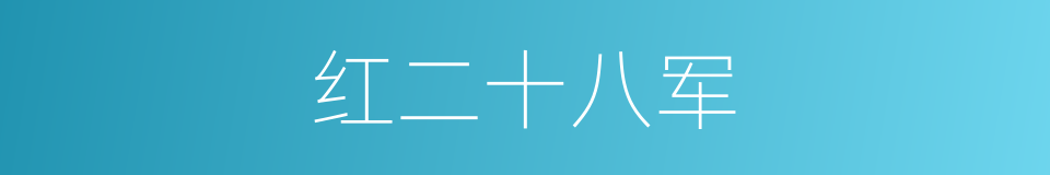 红二十八军的同义词
