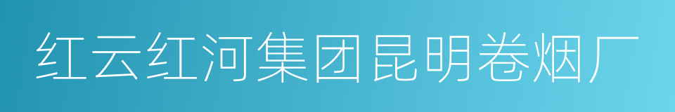 红云红河集团昆明卷烟厂的同义词