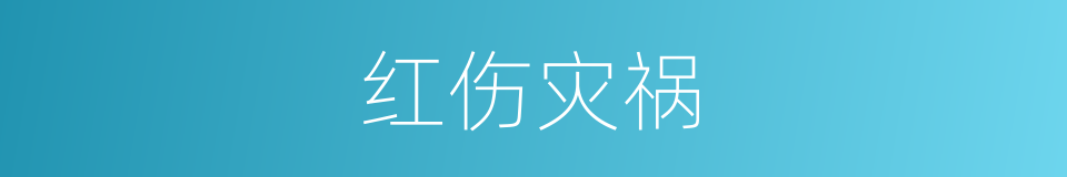 红伤灾祸的同义词