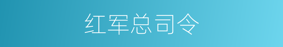 红军总司令的同义词