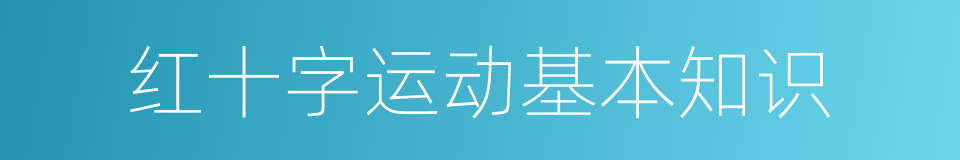 红十字运动基本知识的同义词