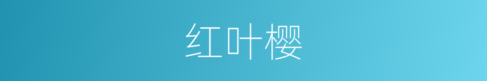 红叶樱的同义词